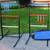 Ladder Ball Game Set (University Games) 6 thumbnail