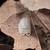Coolidge: Isopods & Springtails (bioactive) 7 thumbnail