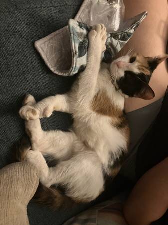 looking for Foster (reading)64036929191297122