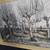 framed print of Vincent van Gogh's drawing titled "Pollard Birches" 2 thumbnail