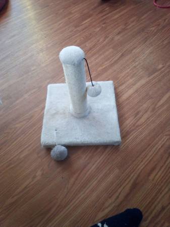 Kitten scratching post 1