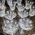 Crystal Stemware, Morgantown Mayfair, Acid Etched, 1940s, Set of 12 16 thumbnail