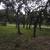 RV lot for rent $400 6 thumbnail