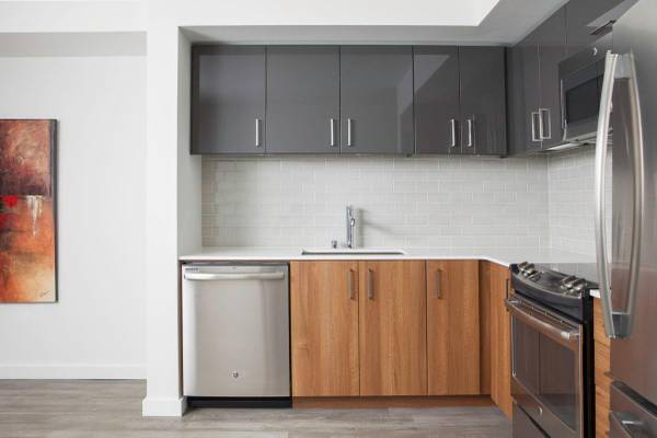 $2,050 / 1br - 597ft2 - Fitness Center, Rooftop Pet Pad, High End Finishes (West Seattle)64031309774337120