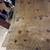 1/2” plywood and cement boards 2 thumbnail