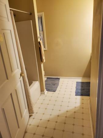 $890 / 1 habitación - 250 pies² - Unidad de 1 dormitorio en una hermosa casa rodeada de bosques (Black Mountain)63179809920387122