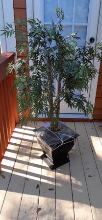 Artificial Ming Aurelia 1