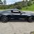 2018 Shelby GT-350 10 thumbnail