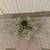 Chandeliers and Ceiling lights 15 thumbnail