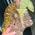 Leachianus giant gecko 6 thumbnail