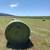 Hay: grass round bales and alfalfa big square bales 3 thumbnail