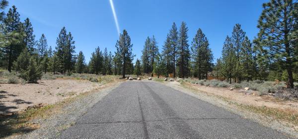 $6,500 Lot 113 on Buffalo in Lake Shastina at the end of a cul-de-sac (Lake Shastina)63678201417601122