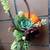 DECORATED PUMPKINS WITH SUCCULENTS 6 thumbnail