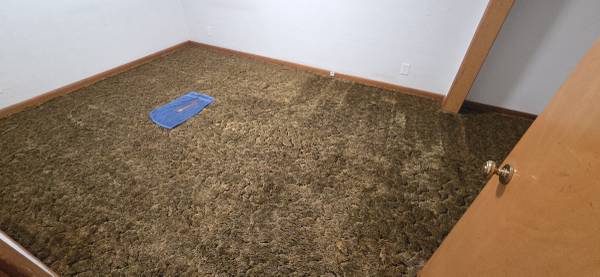 Room for rent 1