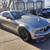 2008 Ford Mustang  GT Deluxe Coupe 2D Coupe 7 thumbnail