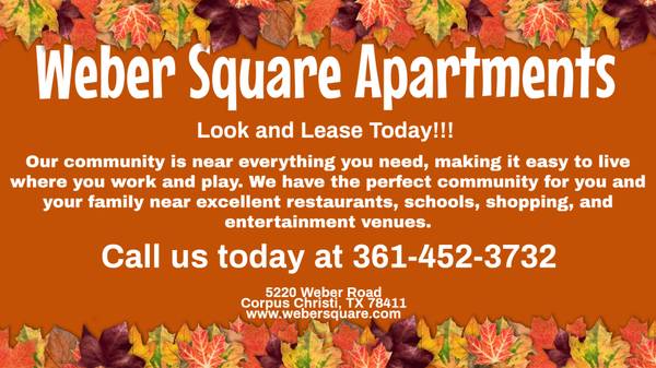 $759 / 460ft2 - A unique fusion of convenience and luxury. Available now! (Corpus Christi)64036541194498120