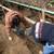 BLOCK WALL / BLOCK WALL REPAIR - FREE ESTIMATES 20 thumbnail