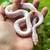 Quality morph Corn Snake babies 6 thumbnail