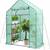 Walk In Outdoor / Indoor Plant Greenhouse; Delivery Possible 1 thumbnail