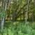 Pittsford...10 Acres 6 thumbnail