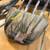 Martain compound bow 11 thumbnail