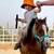 2 mini horses 9 thumbnail