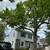 Smith tree service 2 thumbnail