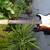 Fender xii String Stratocaster (JAPAN) 2 thumbnail