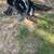 Stump Grinder 1 thumbnail