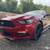 2015 Ford Mustang I4 Coupe 2 thumbnail
