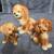 Figurines 5 thumbnail