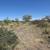 1.5 Acre of Vacant Land – Your Land, Your Future! 1 thumbnail