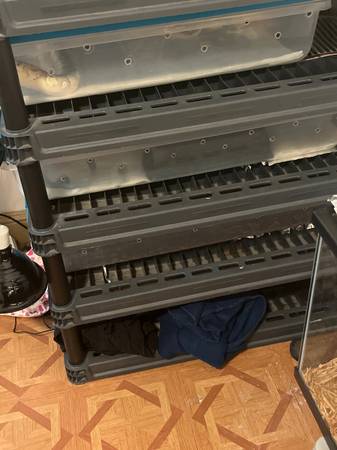 Breeding Rack 1