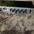 Presonus Eureka mic preamp 1 thumbnail