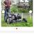 Murray 21" 140 cc Briggs & Stratton Walk Behind Gas Push Lawn Mower w/ 4 thumbnail