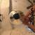 Full Pearl Maple Decade Drumset 6 thumbnail