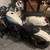Harley Davidson Sportster 1200 1 thumbnail