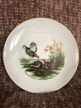 AUDUBON DINNER PLATES 1