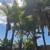 Tree service, Landscaping , Gardening ,Irrigation 3 thumbnail
