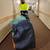 Moving services 15 thumbnail