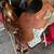 Dale Chavez  Saddle 10 thumbnail