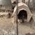 Bantam chicks 5 thumbnail