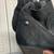 Women's Paul Green Nubuck Genuine Leather Boots 2 pairs - size 8.5 13 thumbnail