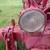 Farmall H OR M Lights set of three 1 thumbnail