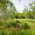 2 Acres in Luling TX! Owner to Owner! No restrictions! 3 thumbnail