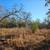 5.74 Acres For Sale - Owner Financing Available 7 thumbnail