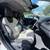 2017 Volvo V60 Cross Country T5 Premier AWD – 4dr Wagon 2.0L I4 Turboc 12 thumbnail