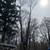 K2 Tree service/ Logging 8 thumbnail