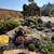 Landscape, gardening, yard clean up, tree pruning 1 thumbnail