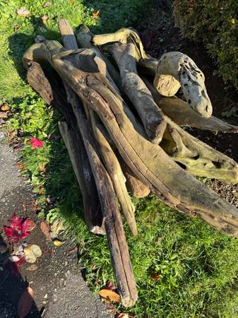 Free Driftwood 1